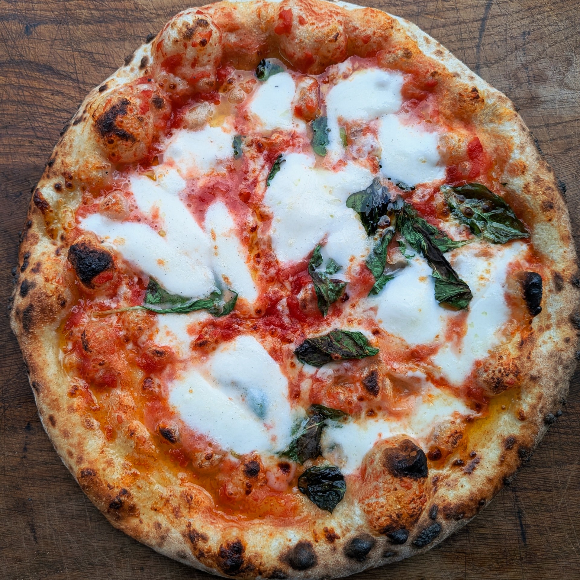 Margherita pizza from the wood fired oven